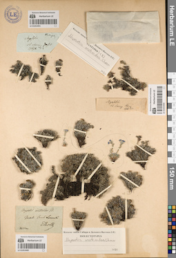 LE 01053490