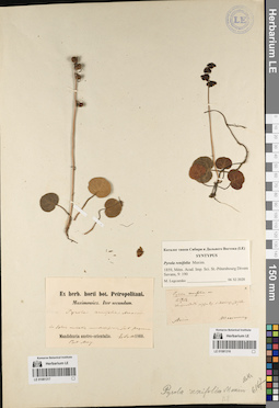 LE 01081316