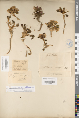 LE 01038830