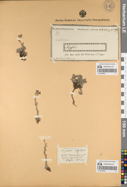 LE 01083258
