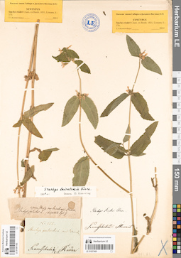 LE 01057489
