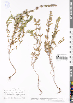 LE 01081991