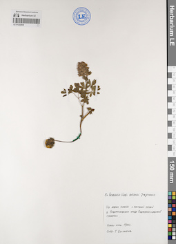 LE 01222030
