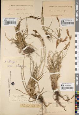 LE 00054540