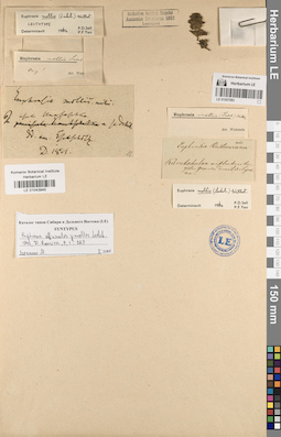 LE 01057593