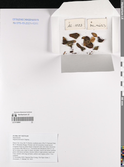 LE 01169961