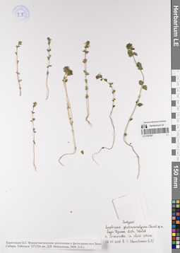 LE 01081997