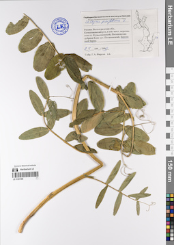 LE 01201598