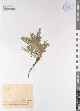 LE 01206076