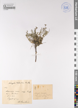 LE 01206084