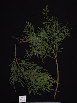 LE 01123791