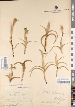 LE 01227189