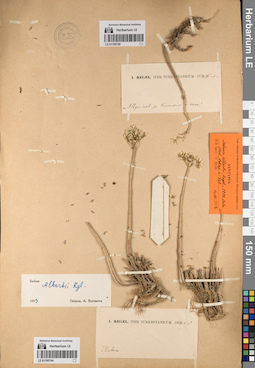 LE 01195744