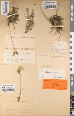 LE 01195747