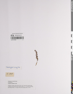 LE 01170105