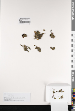 LE 01170121