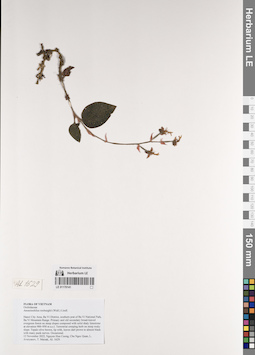 LE 01170141