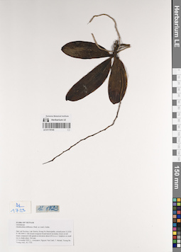 LE 01170145