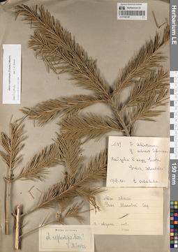 LE 01062180