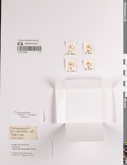 LE 01170188