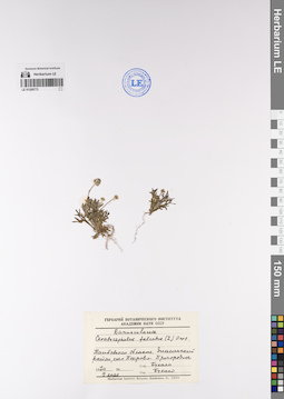 LE 01200773