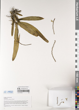 LE 01170134