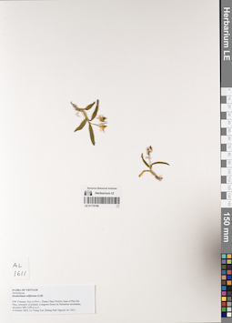 LE 01170198