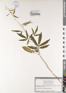 LE 01120165