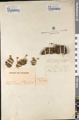 LE 01098622