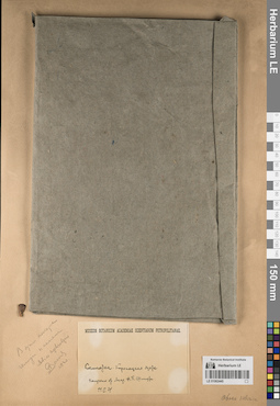 LE 01062445