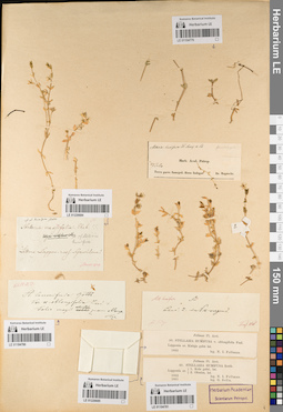 LE 01104780