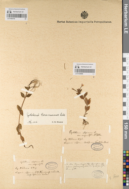 LE 01095754