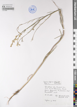 LE 01119060