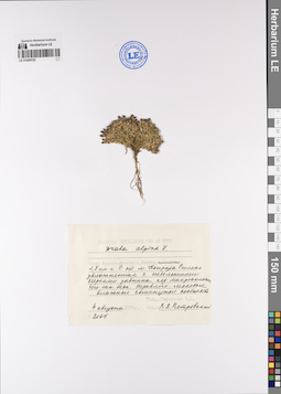 LE 01200722