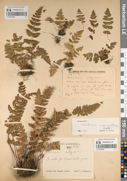 LE 01070296