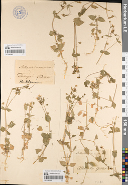 LE 01083852