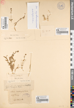 LE 01083864
