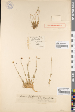 LE 01083893