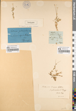 LE 01083936
