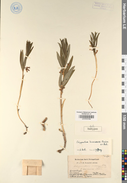 LE 01012164