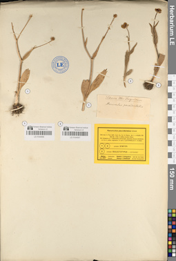 LE 01044957