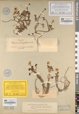 LE 01044966