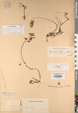 LE 01014704