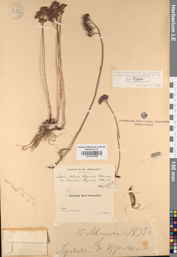 LE 01014705