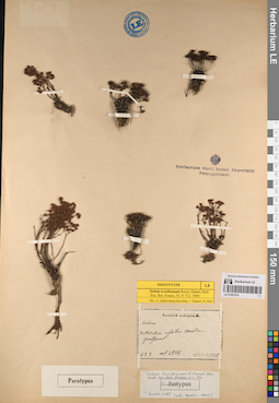 LE 01001974