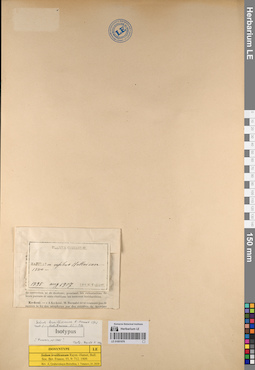 LE 01001976