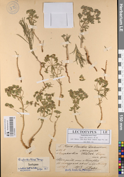 LE 01056950