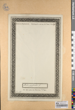 LE 01071422
