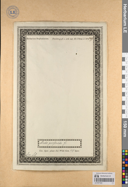 LE 01071423