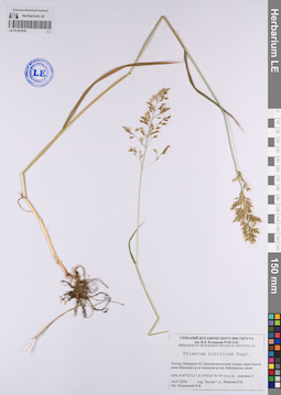 LE 01101919